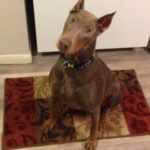 Meet your Posher, Lori